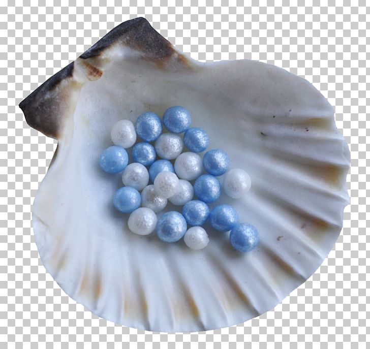 Seashell Pearl PNG, Clipart, Animation, Archive File, Bead, Blue, Digital Image Free PNG Download