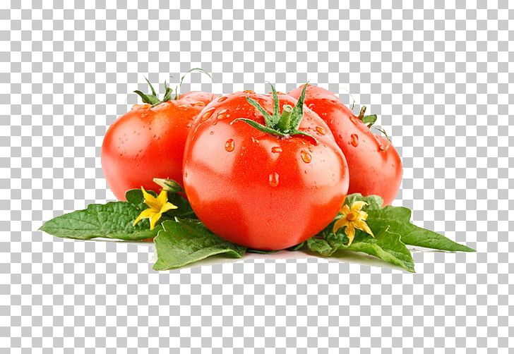 Vegetable Tomato Lettuce Fruit Food PNG, Clipart, Desktop Wallpaper, Diet Food, Drop, Fruits, Fruits And Vegetables Free PNG Download