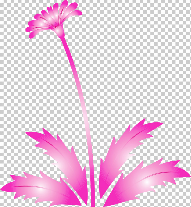 Pink Flower Plant Petal Pink Family PNG, Clipart, Dandelion Flower, Easter Day Flower, Flower, Gerbera, Paint Free PNG Download