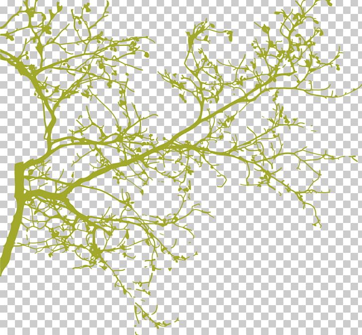 Interieur YouTube Interior Design Services PNG, Clipart, Art, Blossom Tree, Branch, Drawing Room, Flora Free PNG Download