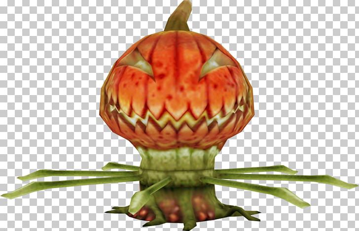 Pumpkin MediEvil: Resurrection Calabaza Winter Squash Gourd PNG, Clipart, Art, Calabaza, Commodity, Crash Tag Team Racing, Cucumber Gourd And Melon Family Free PNG Download