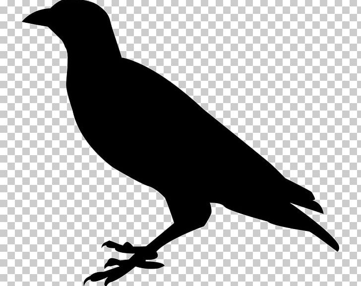 Silhouette PNG, Clipart, Animals, Beak, Bird, Black And White, Common Raven Free PNG Download