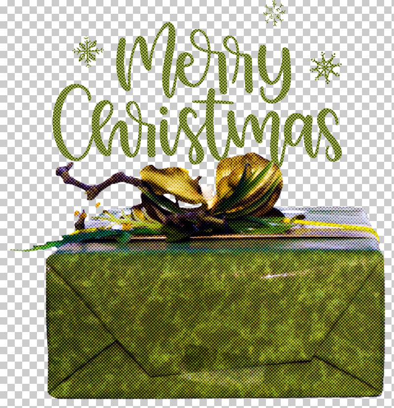 Merry Christmas Christmas Day Xmas PNG, Clipart, Biology, Christmas Day, Merry Christmas, Meter, Plants Free PNG Download