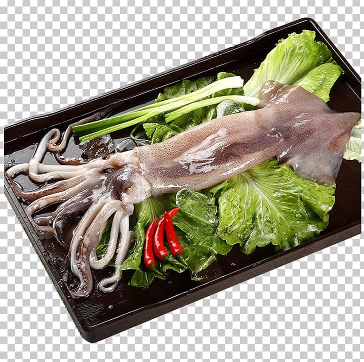 Argentina Squid PNG, Clipart, Animal Source Foods, Argentina, Argentine, Asian Food, Been Free PNG Download