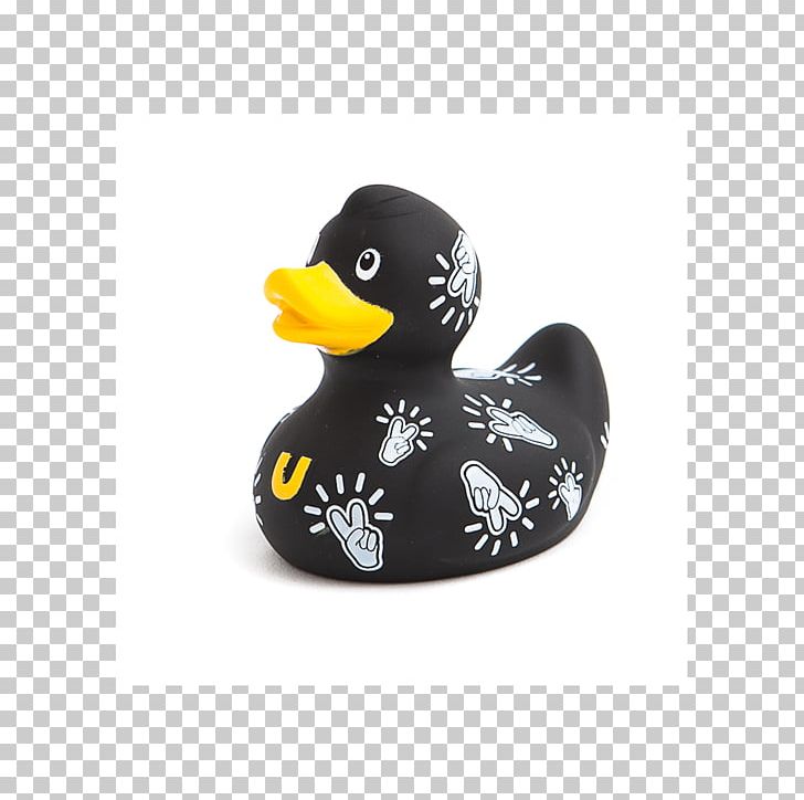 Duck Beak PNG, Clipart, Animals, Beak, Bird, Duck, Ducks Geese And Swans Free PNG Download