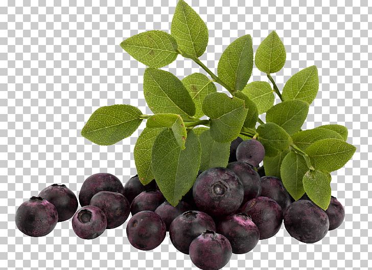 Blueberry Bilberry Huckleberry Damson Superfood PNG, Clipart, 1213, 1920, Aristotelia Chilensis, Berry, Biscuits Free PNG Download