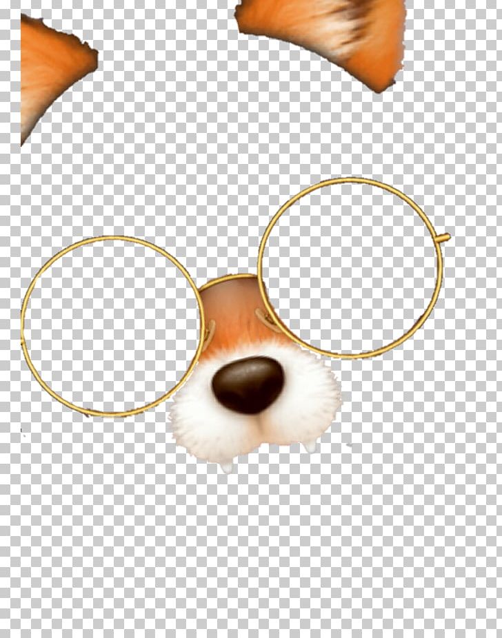 Snout Fox PNG, Clipart, Aesthetics, Alone, Animals, Circle, Ear Free PNG Download