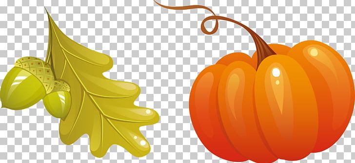 Autumn Free Content Icon PNG, Clipart, Autumn, Autumn, Food, Fruit, Gourd Free PNG Download