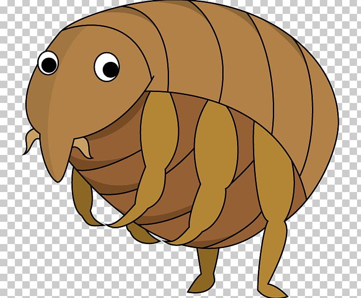 Insect Flea Canidae Dog Pest PNG, Clipart, Acari, Animals, Canidae, Carnivoran, Cartoon Free PNG Download