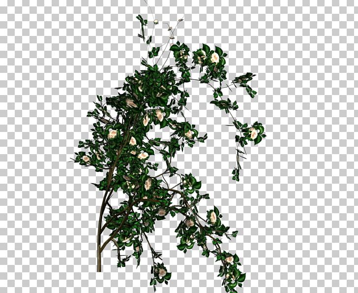 Twig Shrub Rose Tree PNG, Clipart, Architecture, Blender, Branch, Bush, Flower Free PNG Download