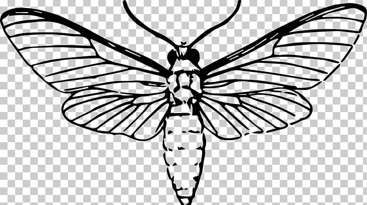 Butterfly Insect Moth Drawing PNG, Clipart, Art, Arthropod, Artwork, Black And White, Brush Footed Butterfly Free PNG Download
