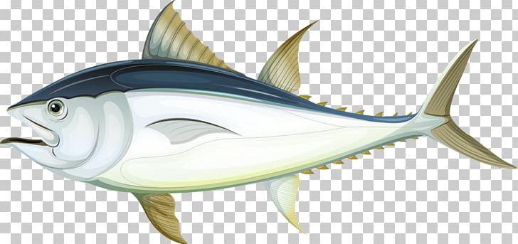 Fish Tuna Illustration PNG, Clipart, Animals, Atlantic Bluefin Tuna, Balloon Cartoon, Billfish, Bony Fish Free PNG Download