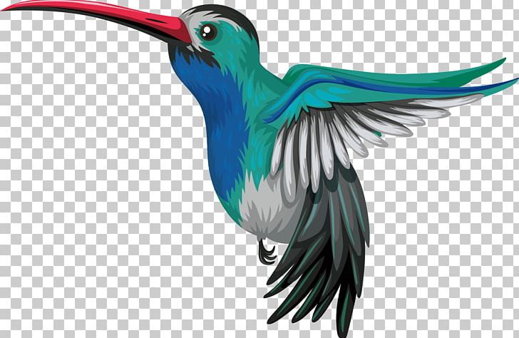 Hummingbird Drawing Illustration PNG, Clipart, Animals, Art, Beak, Bird, Blue Free PNG Download