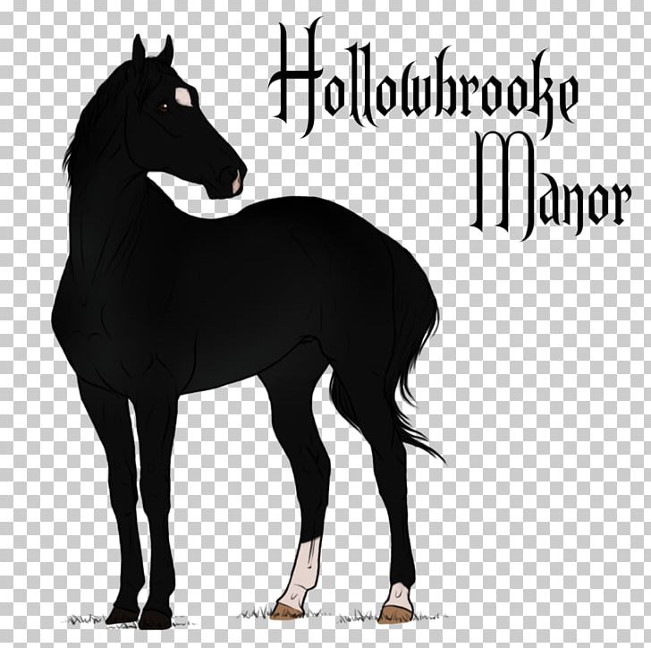 Mustang Appaloosa Mare Arabian Horse Stallion PNG, Clipart, American Paint Horse, Appaloosa, Arabian Horse, Bay, Colt Free PNG Download