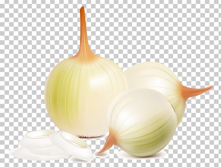 Red Onion Vegetable Parsley PNG, Clipart, Allium Fistulosum, Bulb, Elephant Garlic, Food, Fruit Free PNG Download