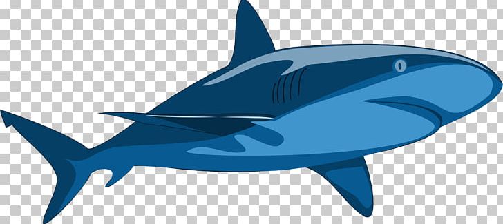 Shark Jaws PNG, Clipart, Animals, Big Shark, Bull Shark, Cartoon Shark, Electric Blue Free PNG Download