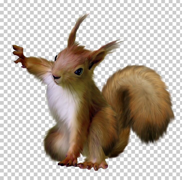 Squirrel Scrat Rodent PNG, Clipart, Animals, Computer Icons, Download, Fauna, Fur Free PNG Download