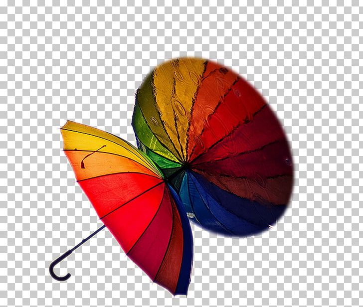 Umbrella Painting Auringonvarjo Rain PNG, Clipart, Art, Auringonvarjo, Butterfly, Deviantart, Insect Free PNG Download