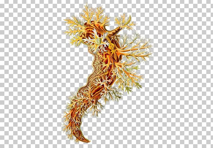 Art Forms In Nature Nudibranch Printmaking Artist PNG, Clipart, Art, Art Forms In Nature, Artist, Biologist, Drawing Free PNG Download