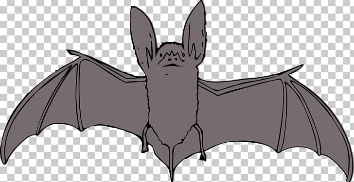 Bat PNG, Clipart, Animals, Baseball Bats, Bat, Bat Wing Development, Brown Longeared Bat Free PNG Download