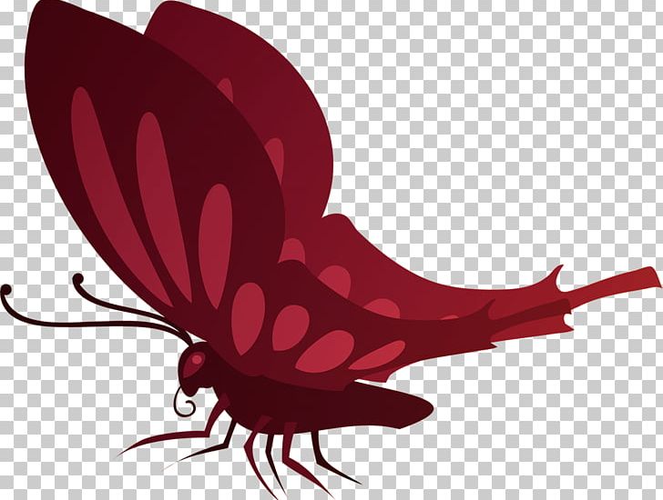 Butterfly Insect PNG, Clipart, Butterflies And Moths, Color, Copyright, Dow, Drawing Free PNG Download