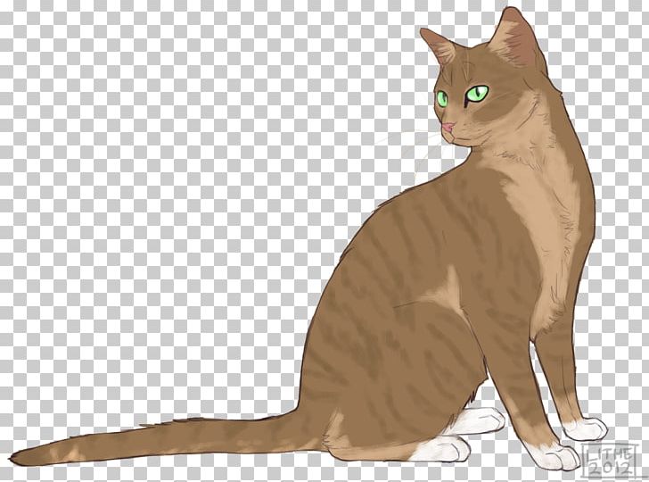 Whiskers Kitten Warriors Cat PNG, Clipart, Animals, Art, Brambleclaw, Burmese, Carnivoran Free PNG Download