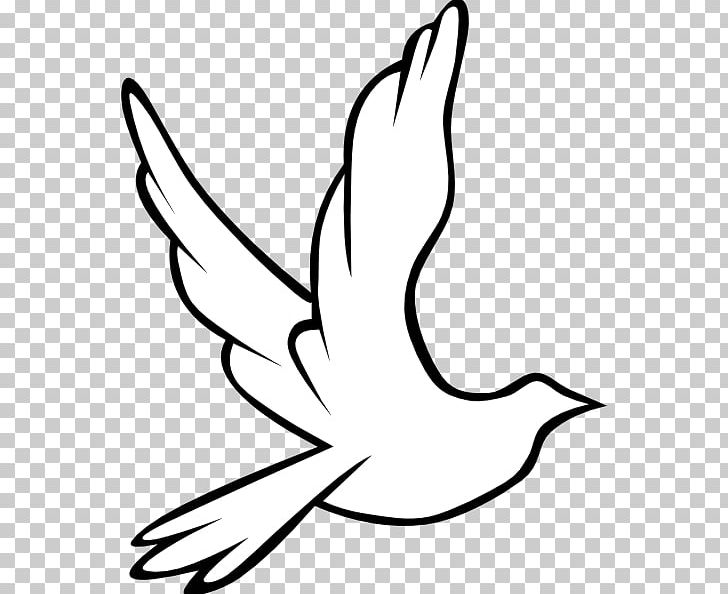 Columbidae Holy Spirit Doves As Symbols PNG, Clipart, Area, Art, Artwork, Beak, Bird Free PNG Download