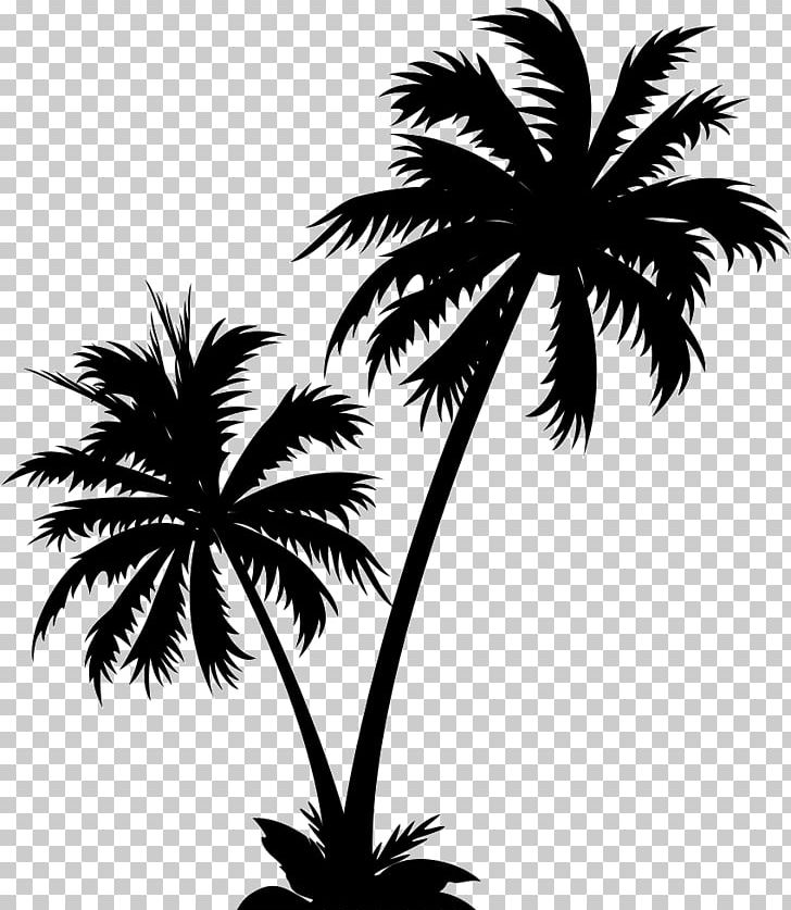 Graphics Palm Trees Illustration PNG, Clipart, Arecales, Black And White, Borassus Flabellifer, Computer Icons, Date Palm Free PNG Download