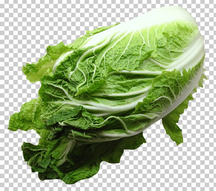 Romaine Lettuce Chinese Cuisine Savoy Cabbage Spring Greens Napa Cabbage PNG, Clipart, Bok Choy, Cabbage, Chard, Chinese Broccoli, Chinese Cabbage Free PNG Download