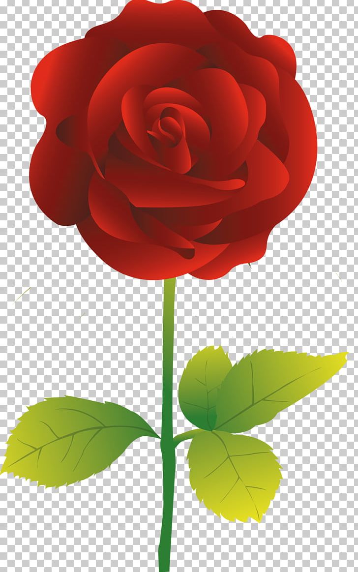 Rose Flower PNG, Clipart, Color, Cut Flowers, Flower, Flowering Plant, Flowers Free PNG Download
