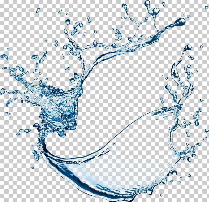 Water Drop PNG, Clipart, Black And White, Branch, Clip Art, Color, Computer Icons Free PNG Download