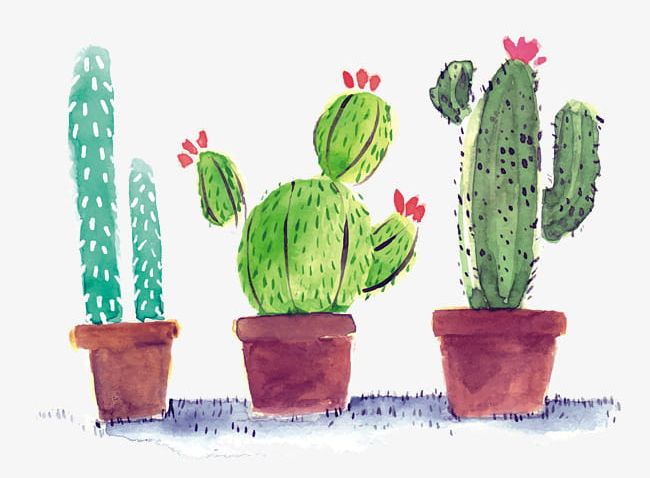 Watercolor Cactus PNG, Clipart, Cactus, Cactus Clipart, Green, Hand, Hand Painted Free PNG Download