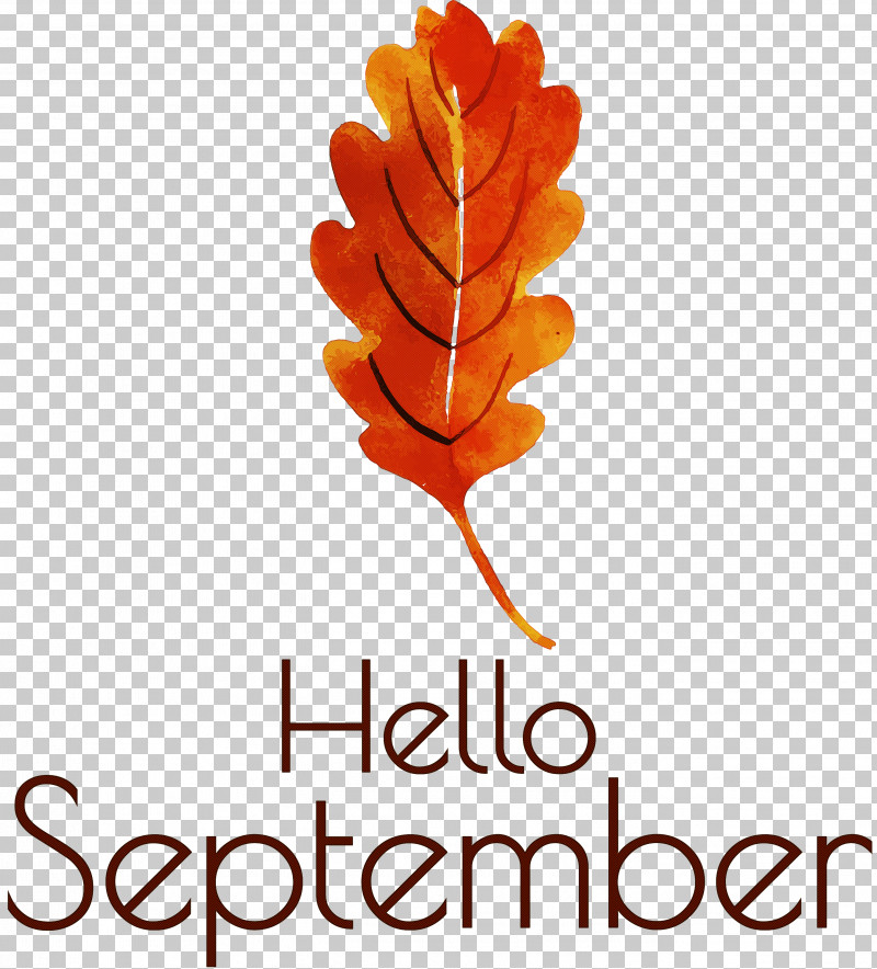 Hello September September PNG, Clipart, Biology, Hello September, Leaf, Meter, Plant Free PNG Download