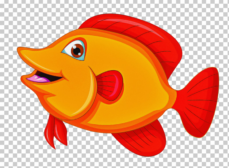 Fish Fish Cartoon Goldfish Bony-fish PNG, Clipart, Bonyfish, Cartoon, Fish,  Goldfish Free PNG Download
