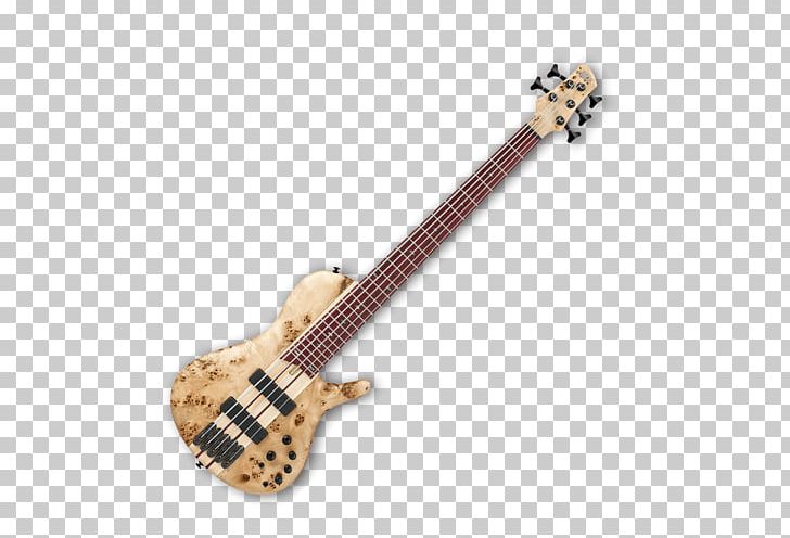 Bass Guitar Musical Instruments String Instruments Electric Guitar PNG, Clipart, Acoustic Electric Guitar, Double Bass, Guitar Accessory, Ibanez, Music Free PNG Download