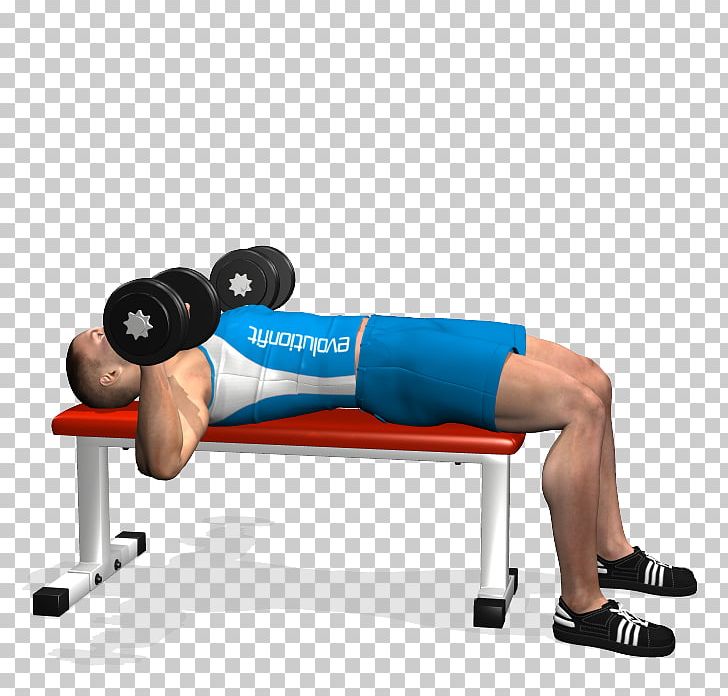 Bench Press Dumbbell Barbell Fly PNG, Clipart, Angle, Arm, Balance, Exercise, Fitness Free PNG Download
