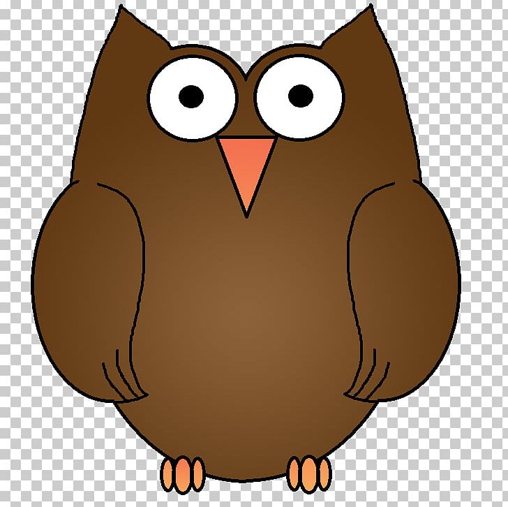 Brown Hawk-owl Barn Owl Drawing PNG, Clipart, Animals, Barn Owl, Beak, Bird, Bird Of Prey Free PNG Download