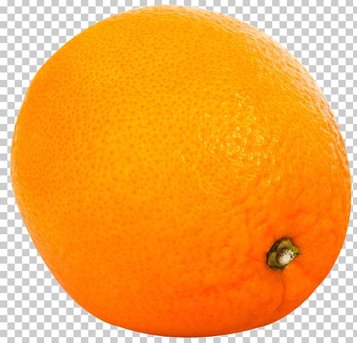 Clementine Grapefruit Tangelo Tangerine Rangpur PNG, Clipart, Bitter Orange, Bitters, Blood Orange, Citric Acid, Citrus Free PNG Download