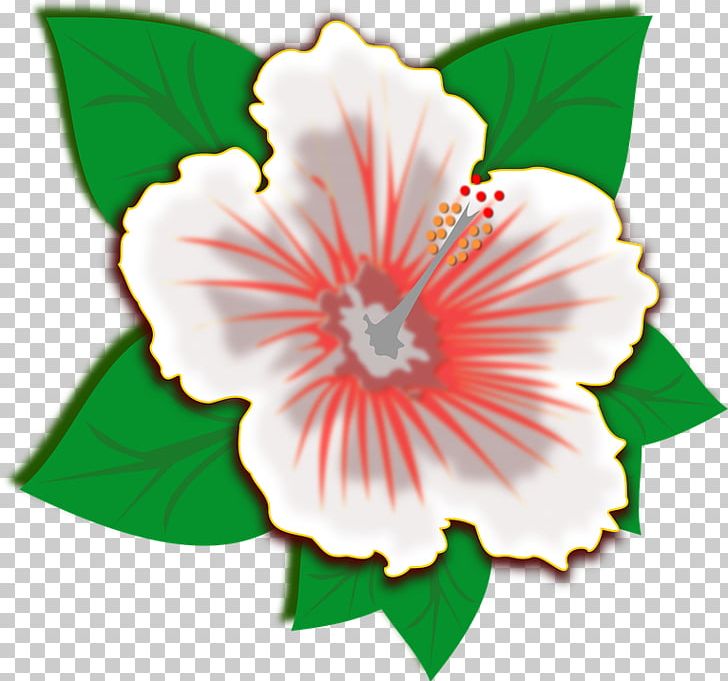Hibiscus PNG, Clipart, Clip Art, Download, Flora, Flores, Flower Free PNG Download