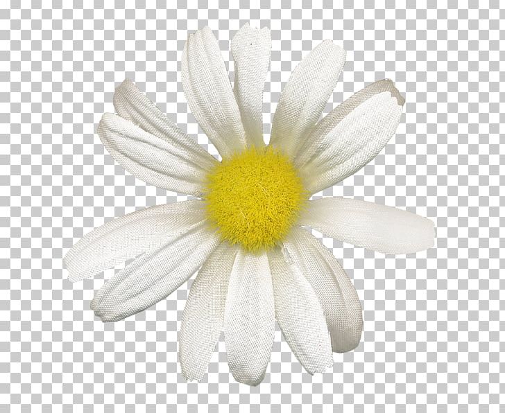Roman Chamomile Oxeye Daisy PNG, Clipart, Chamaemelum Nobile, Chamomile, Cosmetics, Daisy Family, Flower Free PNG Download