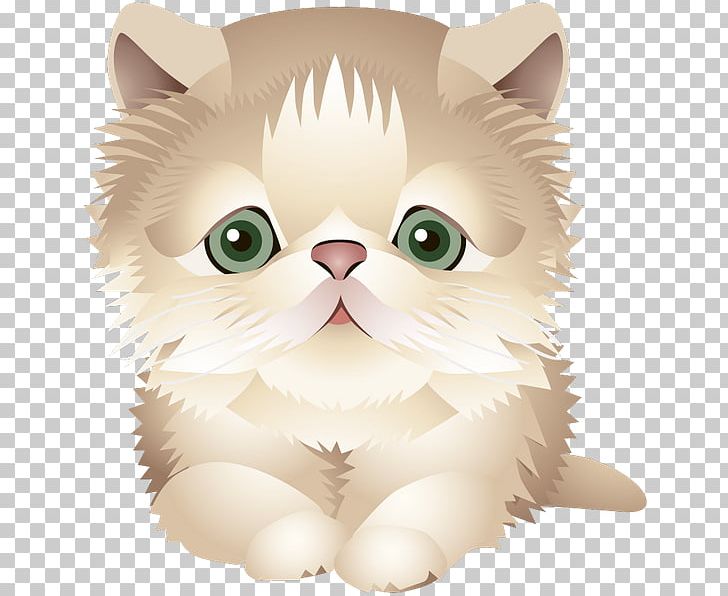 Whiskers Kitten Domestic Short-haired Cat Persian Cat Exotic Shorthair PNG, Clipart, Animal, Animals, Carnivoran, Cartoon, Cat Free PNG Download