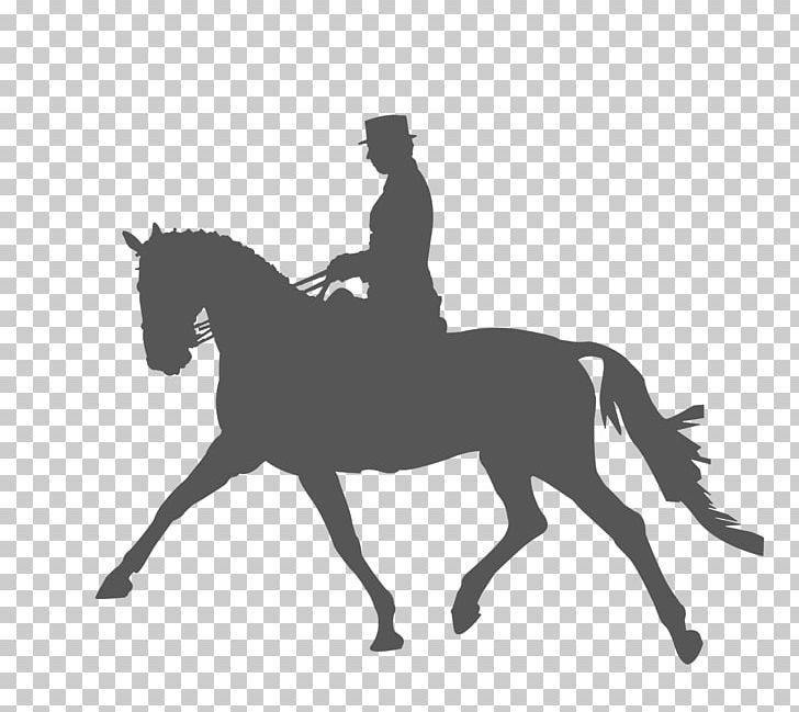 Horse Equestrianism Dressage Silhouette PNG, Clipart, Animals, Black, Bridle, Drawing, English Pleasure Free PNG Download