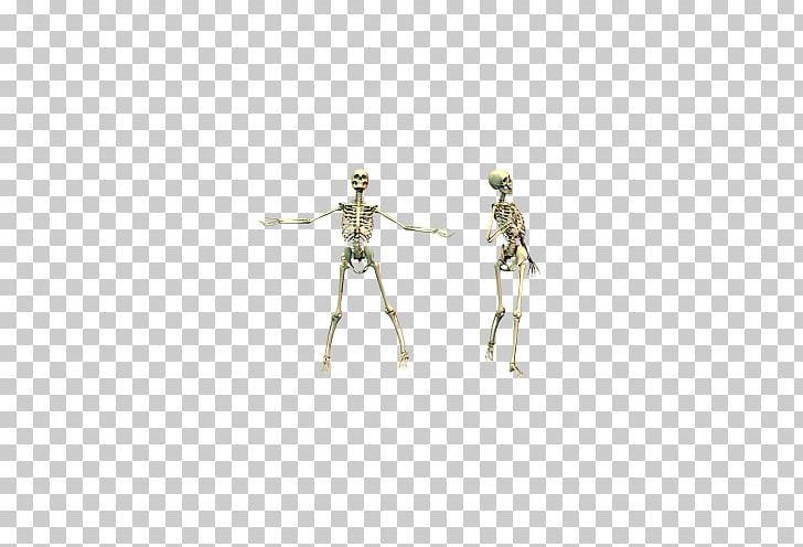 Human Skeleton Skull PNG, Clipart, Bone, Creative, Creative Artwork, Creative Background, Creative Graphics Free PNG Download