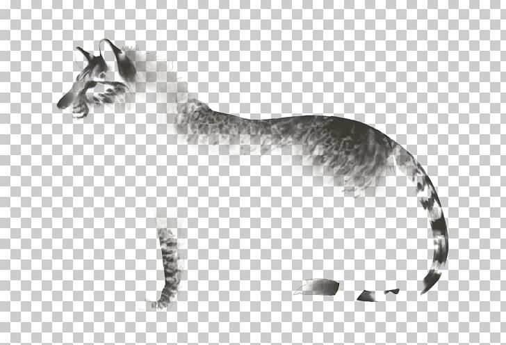 Whiskers Tiger Cat Red Fox Fur PNG, Clipart, Animals, Big Cat, Big Cats, Black And White, Carnivoran Free PNG Download