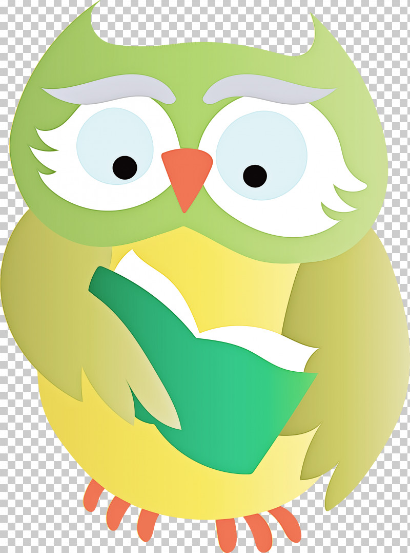 Owls Birds Beak Little Owl Bird Of Prey PNG, Clipart, Beak, Bird Of Prey, Birds, Cartoon, Cartoon Owl Free PNG Download