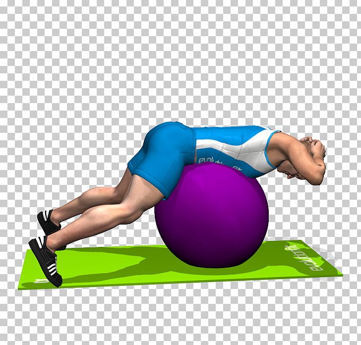 Exercise Balls Esercizi Multiarticolari Pilates Latissimus Dorsi Muscle Sport PNG, Clipart, Abdomen, Abdominal External Oblique Muscle, Arm, Balance, Ball Free PNG Download
