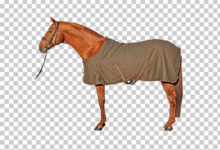 Horse Blanket Equestrian Horse Tack PNG, Clipart, Animals, Bridle, Decathlon Group, Equestrian, Equestrian Sport Free PNG Download