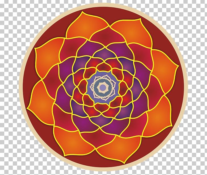 Symmetry Circle Tableware Pattern PNG, Clipart, Circle, Dishware, Hatha Yoga, Orange, Symmetry Free PNG Download