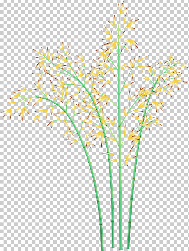Grass Plant Flower Plant Stem Grass Family PNG, Clipart, Aquarium Decor, Bamboo, Cut Flowers, Flower, Grass Free PNG Download