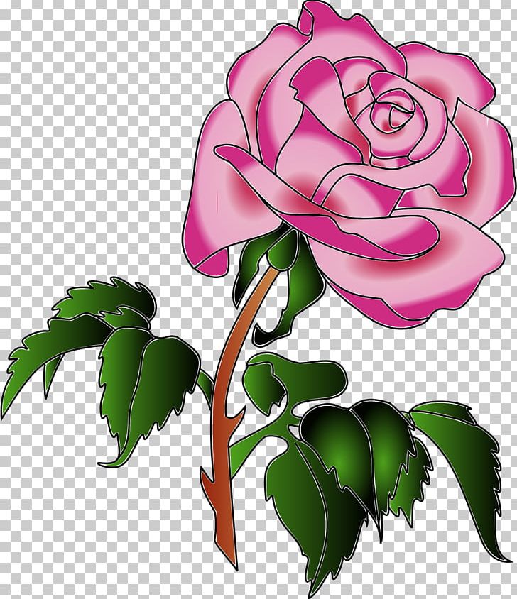 Garden Roses Cabbage Rose PNG, Clipart, Annual Plant, Art, Attractive Rose, Branch, Colors Free PNG Download